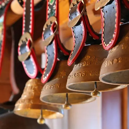 La Tour D'ai Hotel Leysin